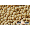 Soybean Seeds