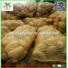 (mesh bags) fresh potato/the Netherlands potatoes exported to Malaysia, Singapore, dubai, etc