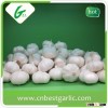high quality organic garlic supplier