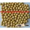 Soya Bean
