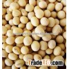 Soyabean