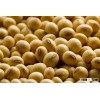 High Quality Soybeans