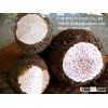 FRESH TARO VIETNAM