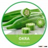 HIGH QUALITY FRESH OKRA