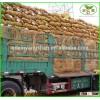 2015 fresh potato importers in dubai, India ,price of fresh potatoes/