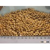 SOYBEAN without GMO
