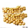 High quality roasted soybean(Factory price)