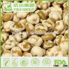 Bulk Packing Roasted Wasabi Soya Beans, Dried Soya Beans