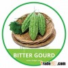 HIGH QUALITY FRESH BITTER GOURD // VIETNAMESE FRESH VEGETABLE