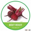 HIGH QUALITY FRESH BEET ROOT