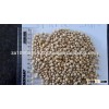 non-GMO and GMO Soybean Seeds (Human And Animal Feed)