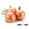 Organic Fresh Onions