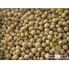 Soybean - www.agriprices.com - Contact Us For Small & Large Orders