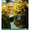 Chinese Fresh Ginger Exporters : Europe/Southeast Asia Ginger