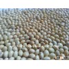 Soya bean