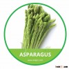 HIGH QUALITY FRESH ASPARAGUS