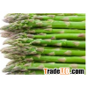 Organic Fresh Asparagus From Thailand