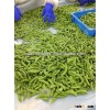 CHINA IQF boiled soybean