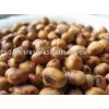Soya Beans