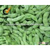 frozen soybean