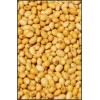 SOYA BEANS