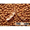 SOYA BEANS ORIGIN BRAZIL
