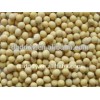 NEW crop organic soybean