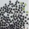 green kernel Black soybean