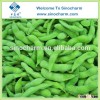 IQF Green Edamame Frozen Soy Beans Wholesale