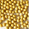 hot sale soya beans for sale