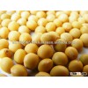 Non-GMO organic soybean/soya bean from Africa