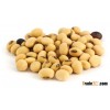 soya bean meal supplier