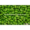 Fresh IQF shelled soybean
