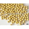china non-GMO soybeans specifications /size