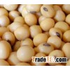 SOYA BEANS