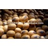 Soybeans