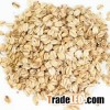 Organic Whole Oats/High Grade QUAKER OATS/Naked Oats