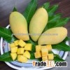 Vietnam Fresh Mango, Sweet and smell mango