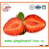Bulk 2015 15-25mm High quality Fresh HONEY Strawberry