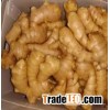 Himalayan Altitude Fresh Ginger