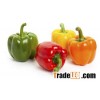 Frozen Green pepper Sweet pepper Bell pepper