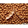 Soybeans