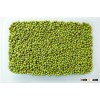 Mung bean