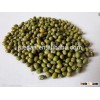 cheap price for green mung beans
