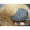 Fresh Urad dal split