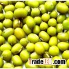 Hot sale price for green mung beans