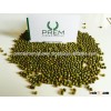 Mung Bean