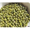 High Quality Green Mung Beans