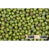 HIGH QUALITY MUNG BEANS.!!
