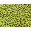 Recent Crop green mung bean